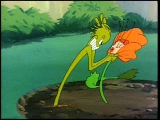 Wacky Weed